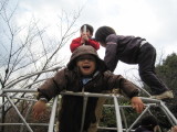 img0011.jpg