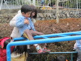 img0015.jpg