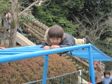 img0016.jpg