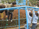 img0034.jpg