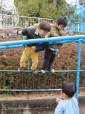 img0035.jpg
