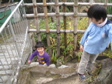 img0037.jpg