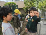 img0007.jpg