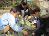 img0012.jpg