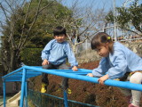 img0014.jpg