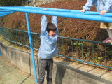img0017.jpg