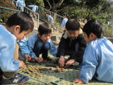 img0024.jpg