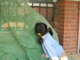 img0033.jpg