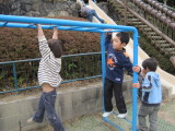 img0020.jpg