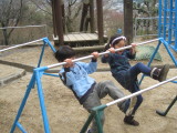 img0037.jpg
