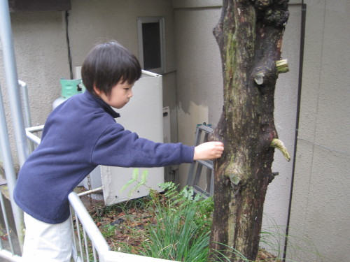 img0065.jpg