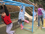 img0050.jpg