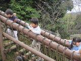 img0052.jpg