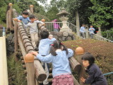 img0053.jpg