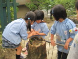 img0061.jpg