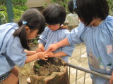 img0062.jpg