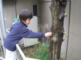 img0064.jpg