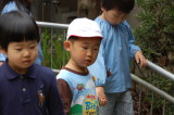 img0010.jpg