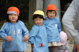 img0003.jpg