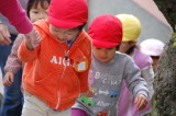 img0004.jpg