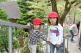 img0006.jpg
