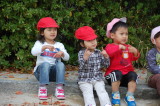 img0009.jpg
