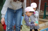 img0016.jpg