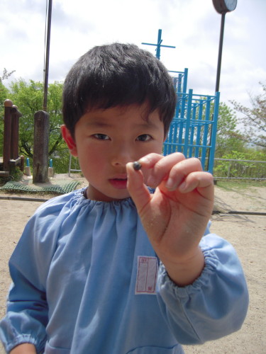 img0009.jpg