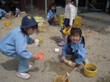 img0006.jpg