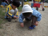 img0011.jpg