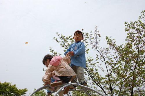 img0003.jpg