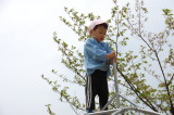 img0012.jpg