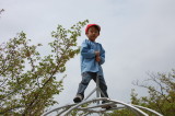 img0014.jpg