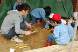 img0000.jpg
