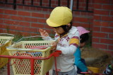 img0018.jpg