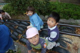 img0008.jpg