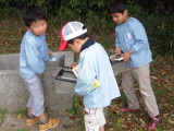 img0015.jpg