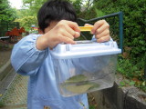 img0022.jpg