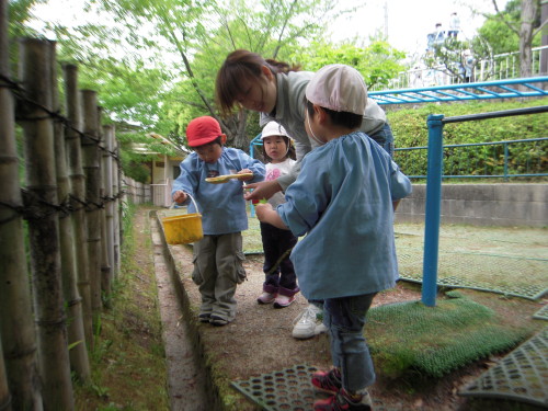 img0020.jpg