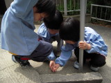 img0014.jpg
