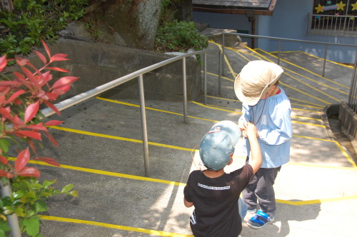 img0045.jpg
