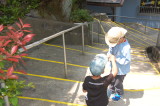 img0025.jpg