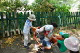 img0026.jpg