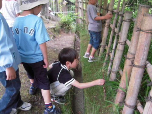 img0007.jpg