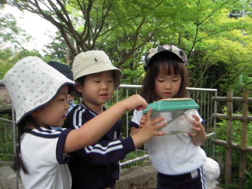 img0010.jpg