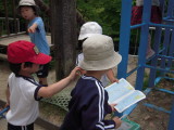 img0001.jpg
