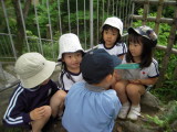 img0009.jpg