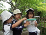 img0010.jpg