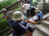 img0016.jpg