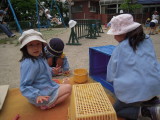 img0017.jpg